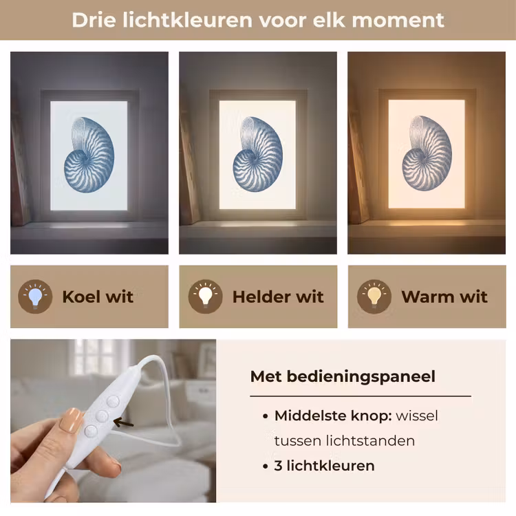 Tafellamp - Blauw - Schelp - Spiraal — 6