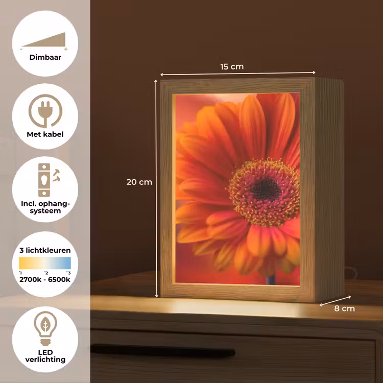 Tafellamp - Oranje - Gerbera - Intens — 7