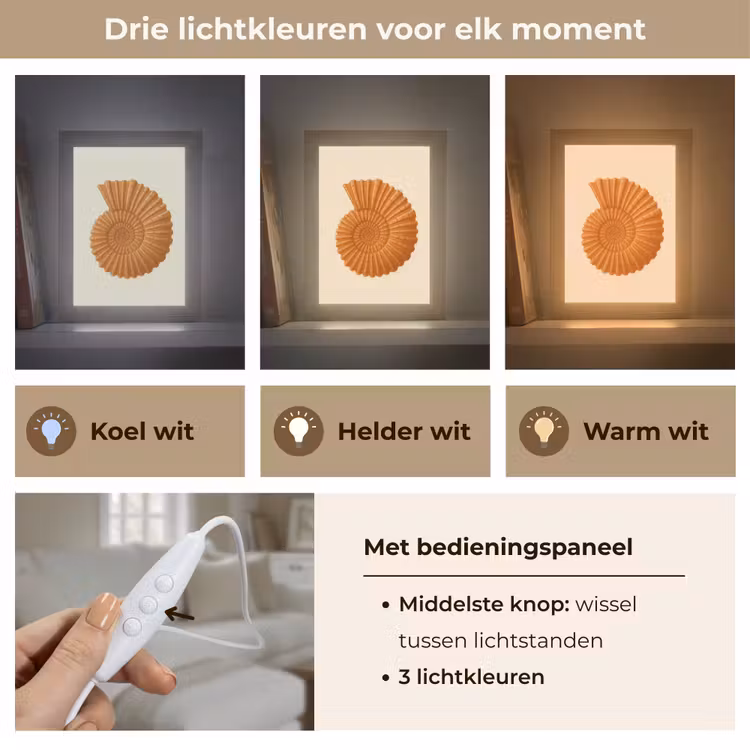 Tafellamp - Schelp - Oranje - Ribbels — 6