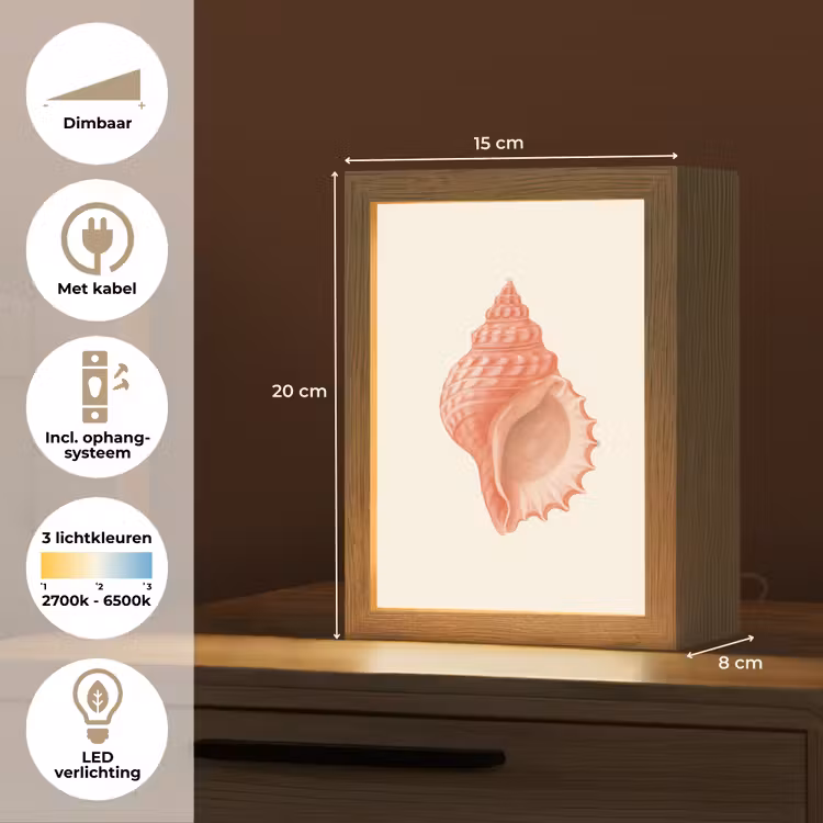 Tafellamp - Schelp - Roze - Structuur — 7