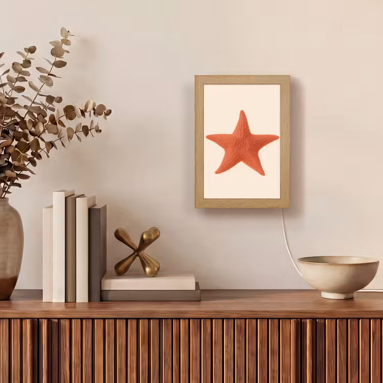 Tafellamp - Zeester - Bobbels - Rood — 4