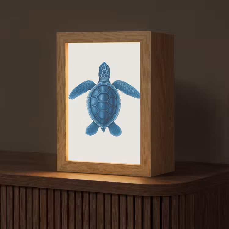Tafellamp - Schildpad - Blauw - Schild — 1
