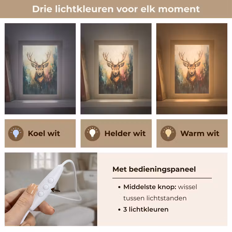 Tafellamp - Hert - Geverfd - Gewei - Bruin — 6