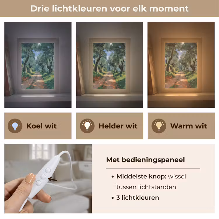 Tafellamp - Pad - Bomen - Schaduw - — 6