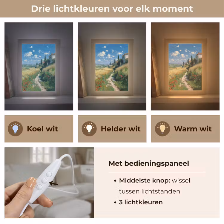 Tafellamp - Zandpad - Huis - Bomen - Grasveld — 6