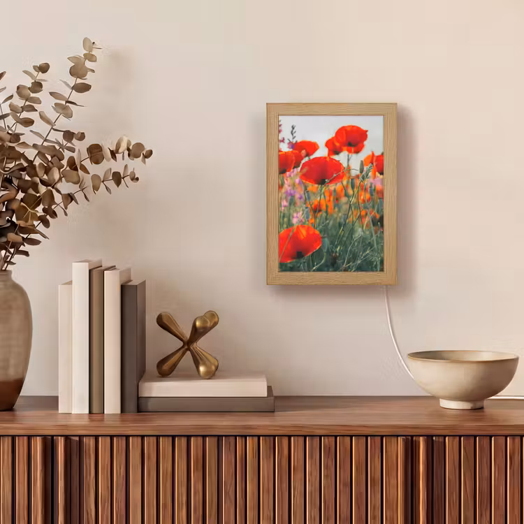 Tafellamp - Klaproos - Bloemen - Rood - Paars - Weide — 4