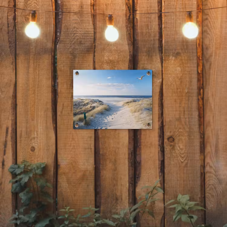 Tuinposter - Duin - Meeuw - Strand - Zee - Zon — 2