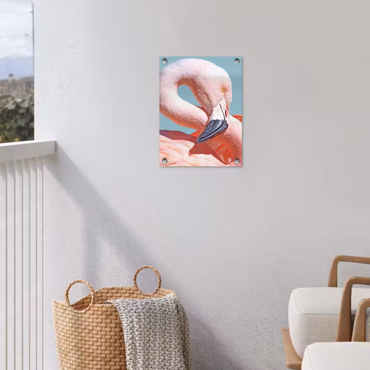 Tuinposter - Close-up flamingo — 3