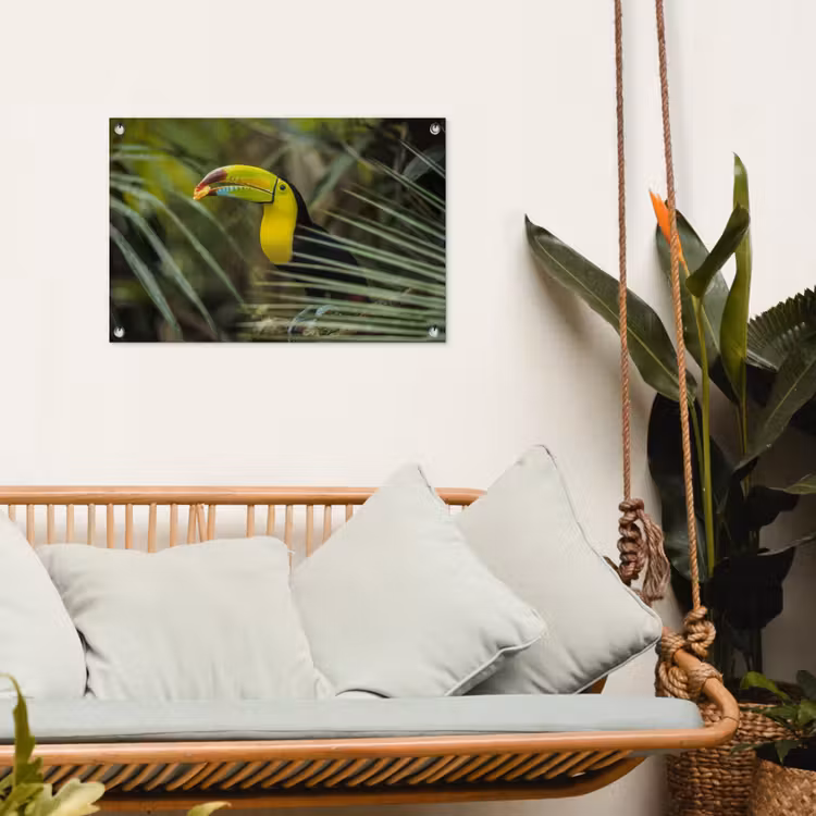 Tuinposter - Close-up van een etende toekan — 5