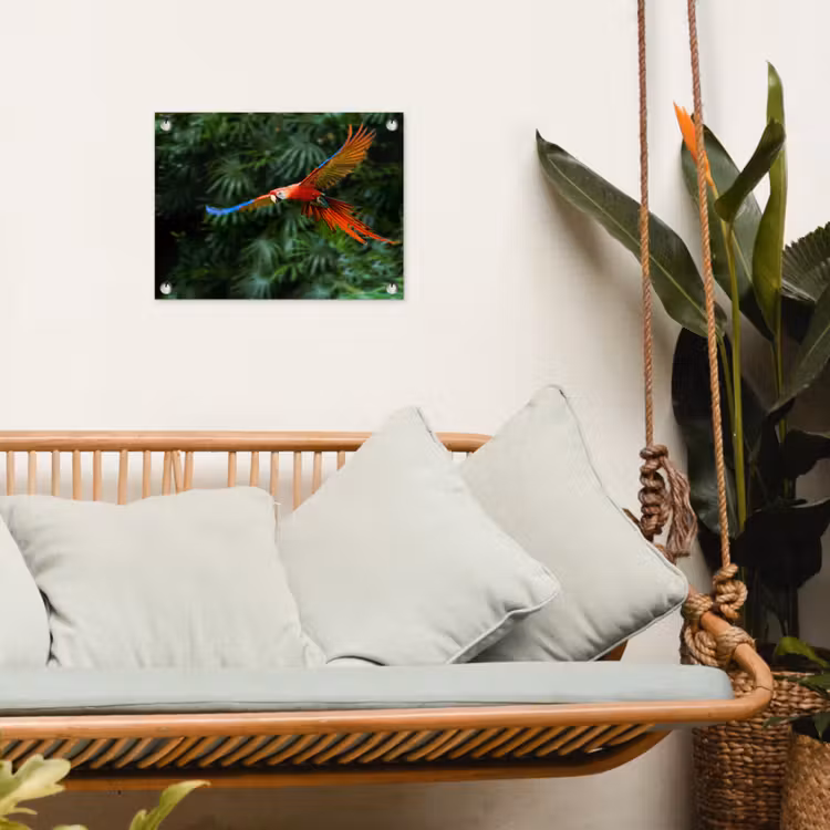 Tuinposter - Kleurrijke papegaai is aan het vliegen — 5