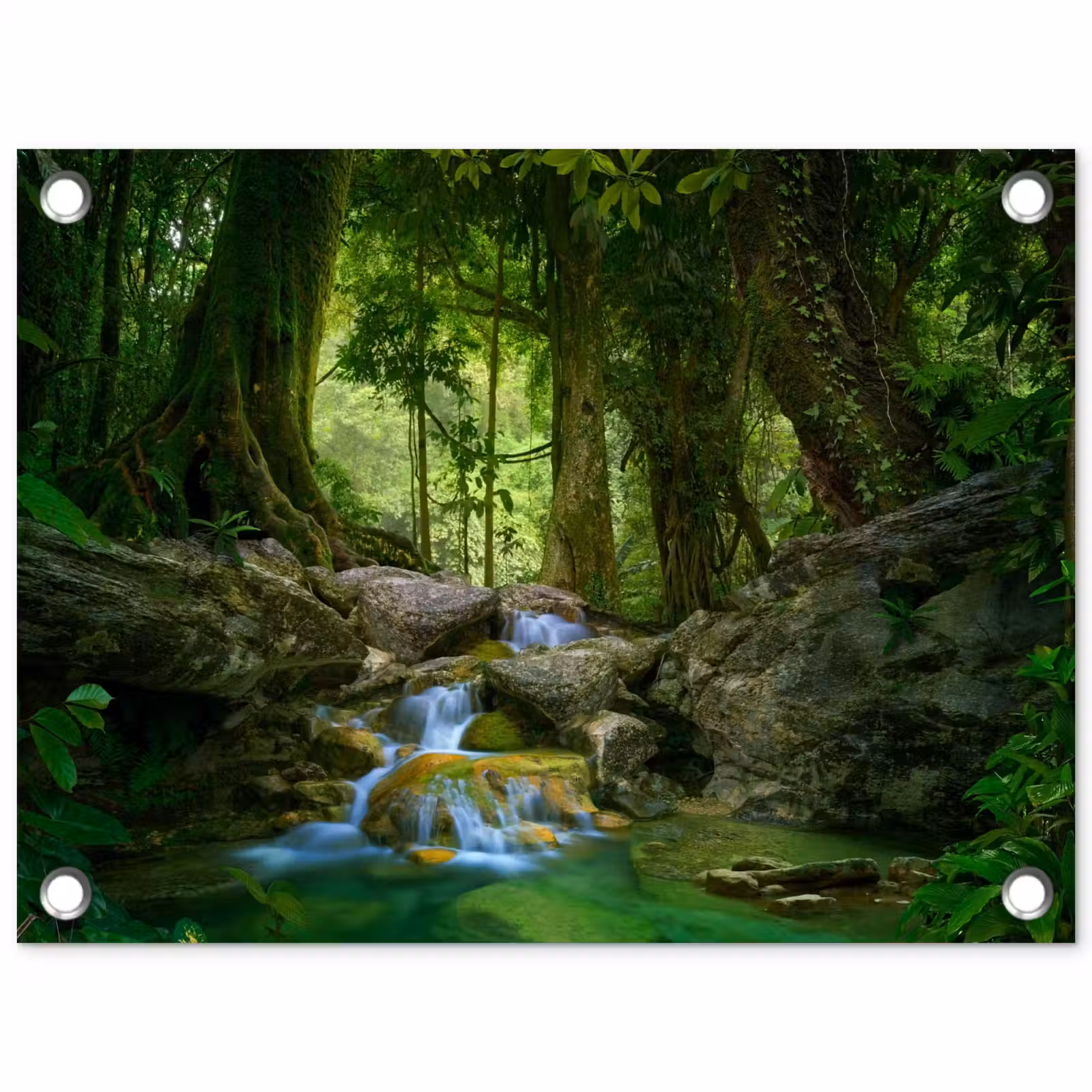 Tuinposter - Jungle - Stenen - Water - Natuur - Planten — 1