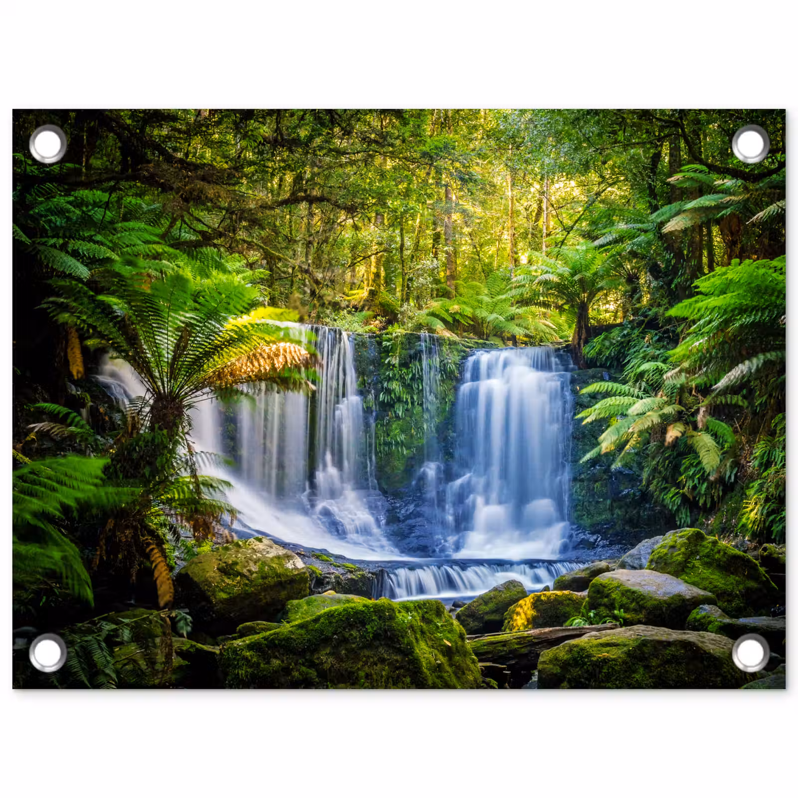 Tuinposter - Jungle - Waterval - Australië - Planten - Natuur — 1