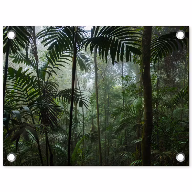 Tuinposter - Regenwoud - Tropisch - Jungle - Bomen - Planten — 1