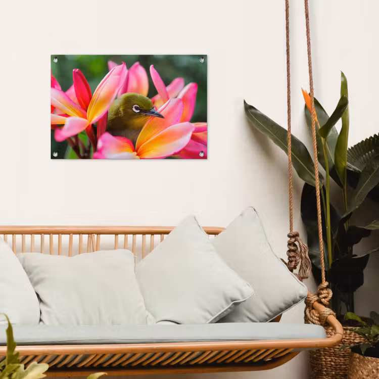 Tuinposter - Tropische vogel tussen roze bloem — 5