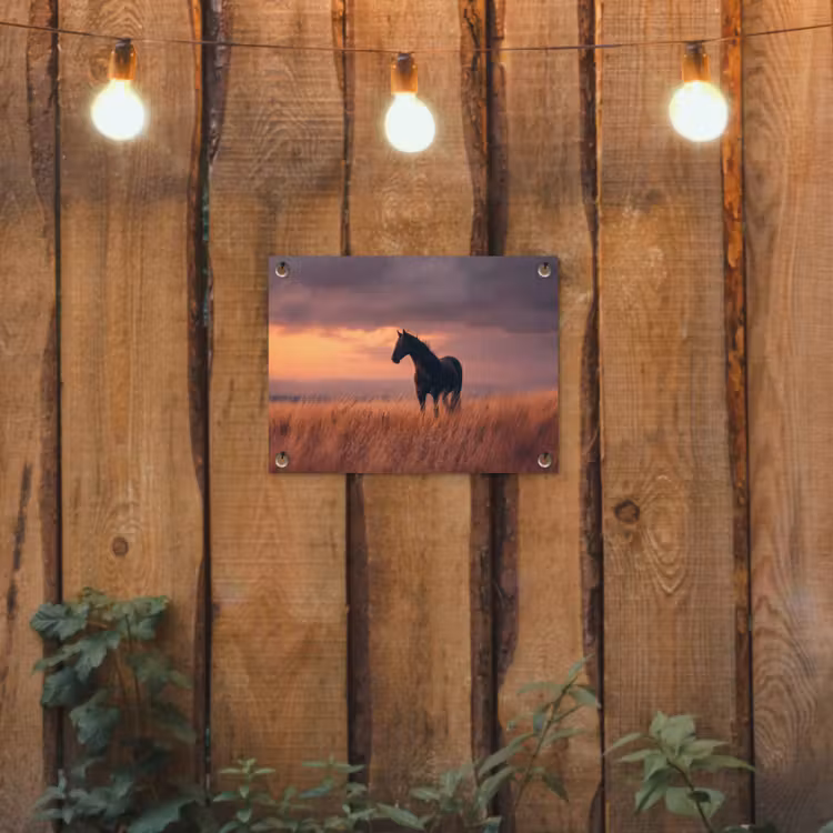 Tuinposter - Zwart Paard in Grasveld Zonsondergang — 2