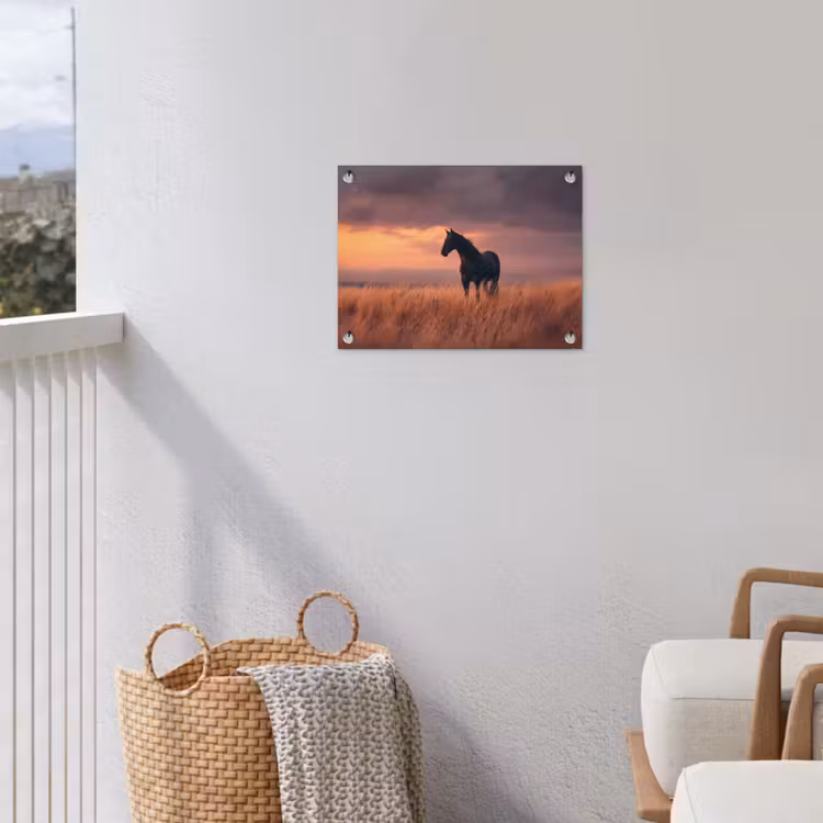 Tuinposter - Zwart Paard in Grasveld Zonsondergang — 3