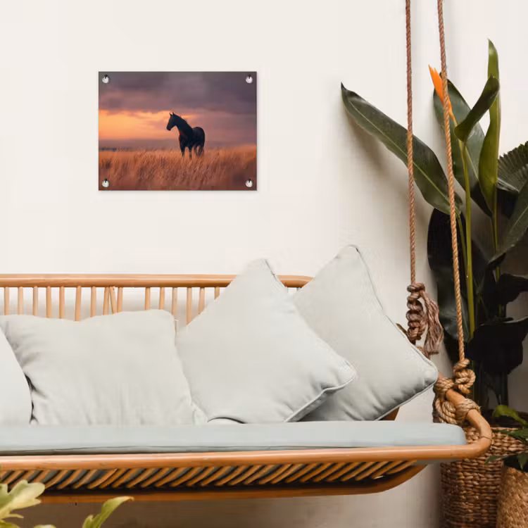 Tuinposter - Zwart Paard in Grasveld Zonsondergang — 5
