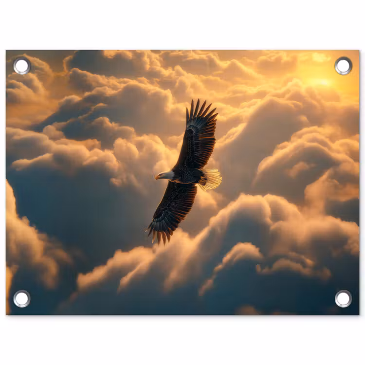 Tuinposter - Amerikaanse Zeearend in Wolken