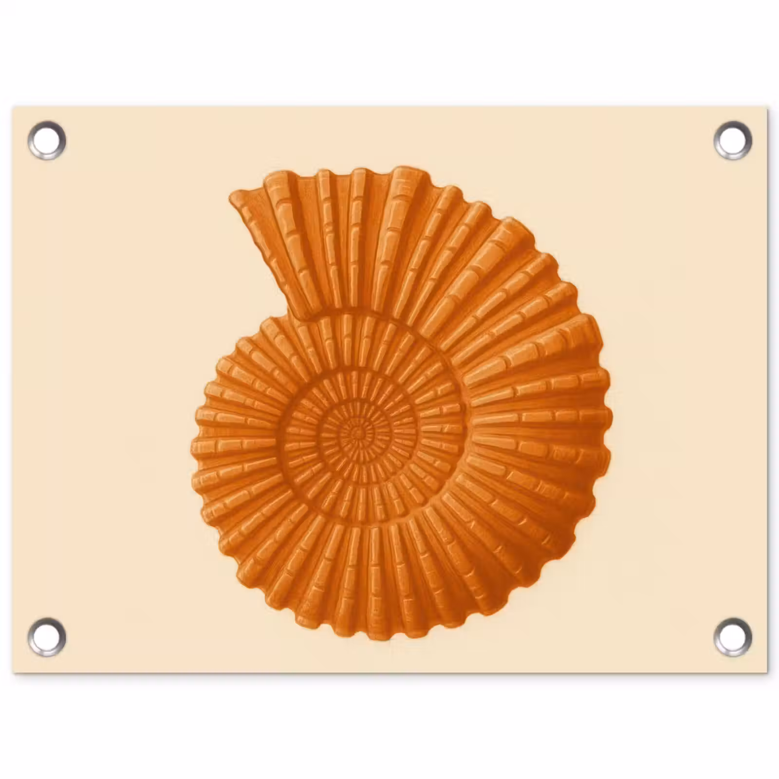 Tuinposter - Schelp - Oranje - Ribbels — 1
