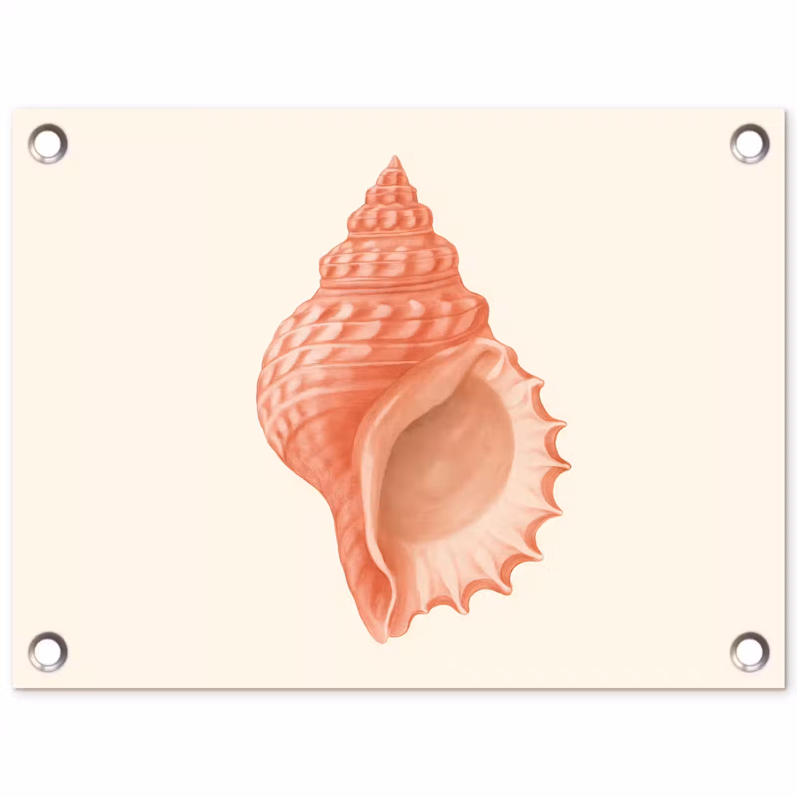 Tuinposter - Schelp - Roze - Structuur — 1