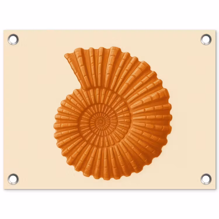 Tuinposter - Schelp - Oranje - Ribbels — 1