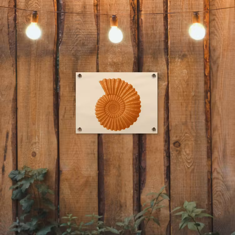 Tuinposter - Schelp - Oranje - Ribbels — 2