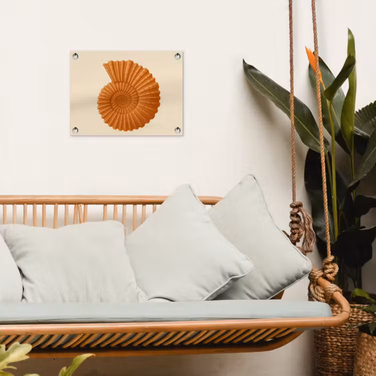 Tuinposter - Schelp - Oranje - Ribbels — 5