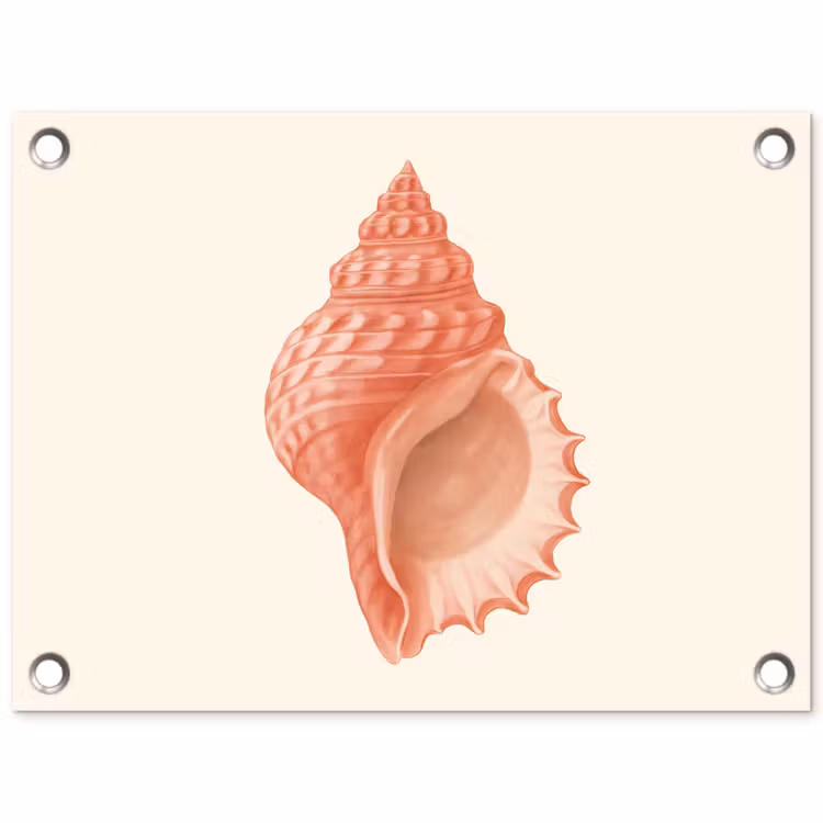 Tuinposter - Schelp - Roze - Structuur — 1