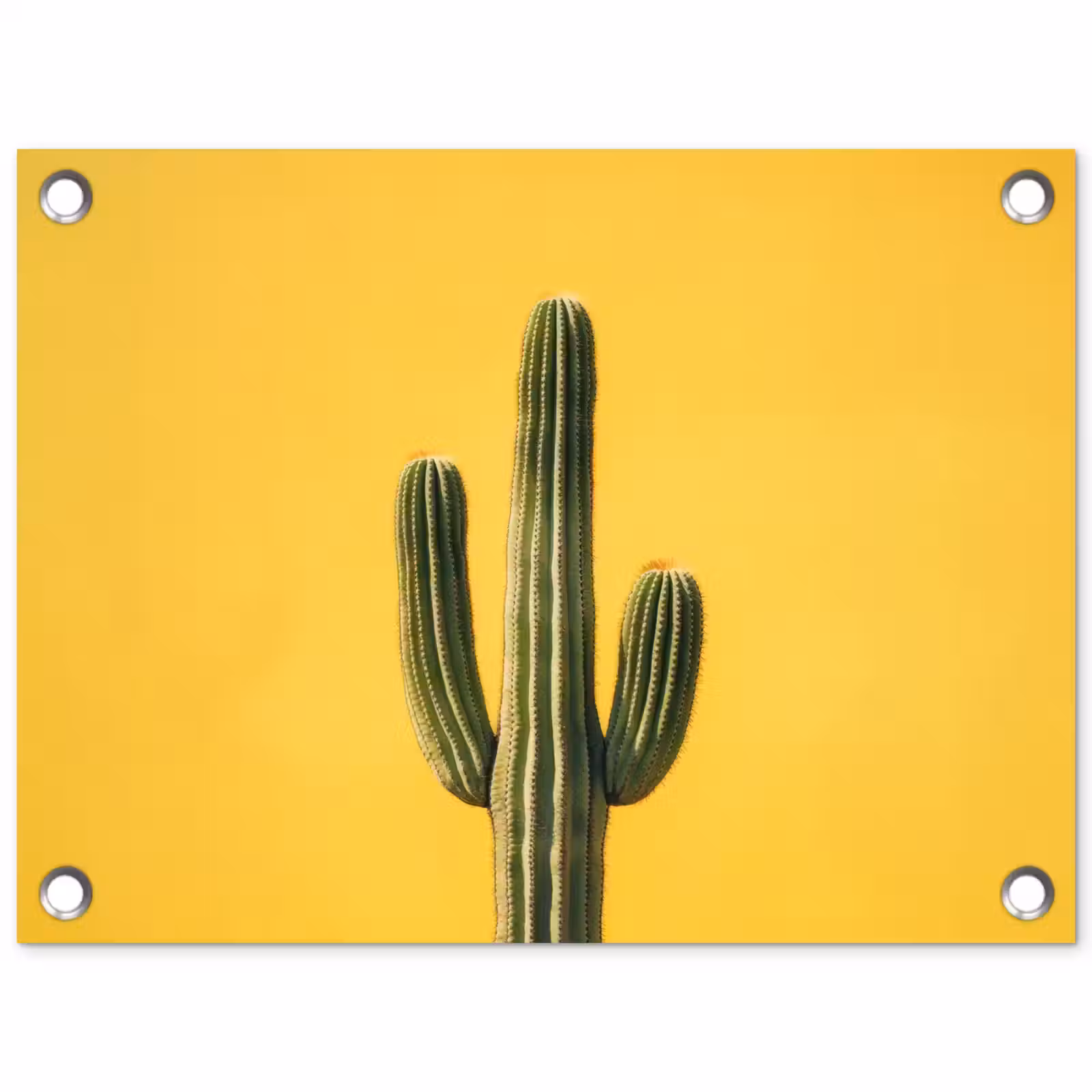 Tuinposter - Cactus - Groen - Minimalistisch — 1