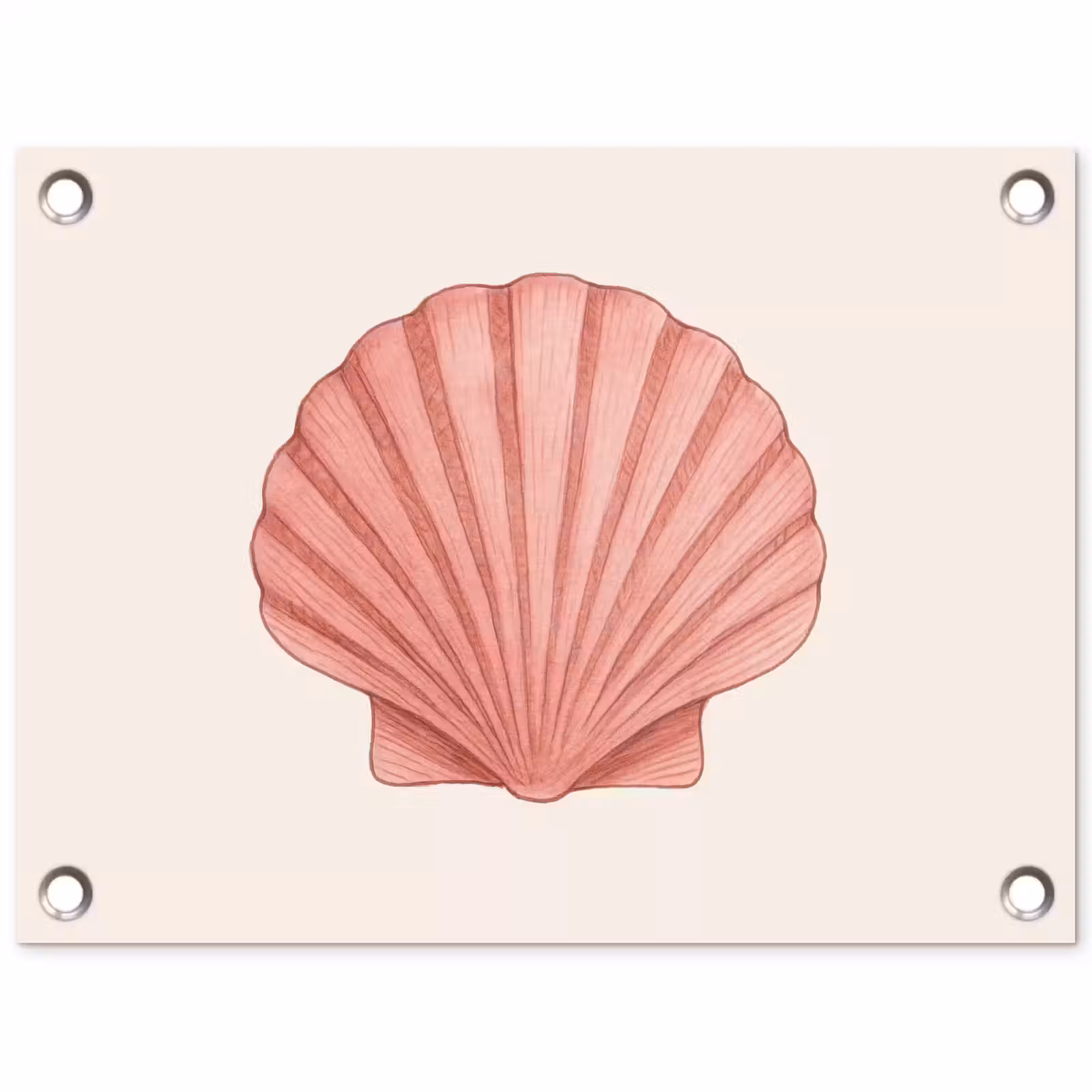 Tuinposter - Schelp - Roze - Ribbels — 1