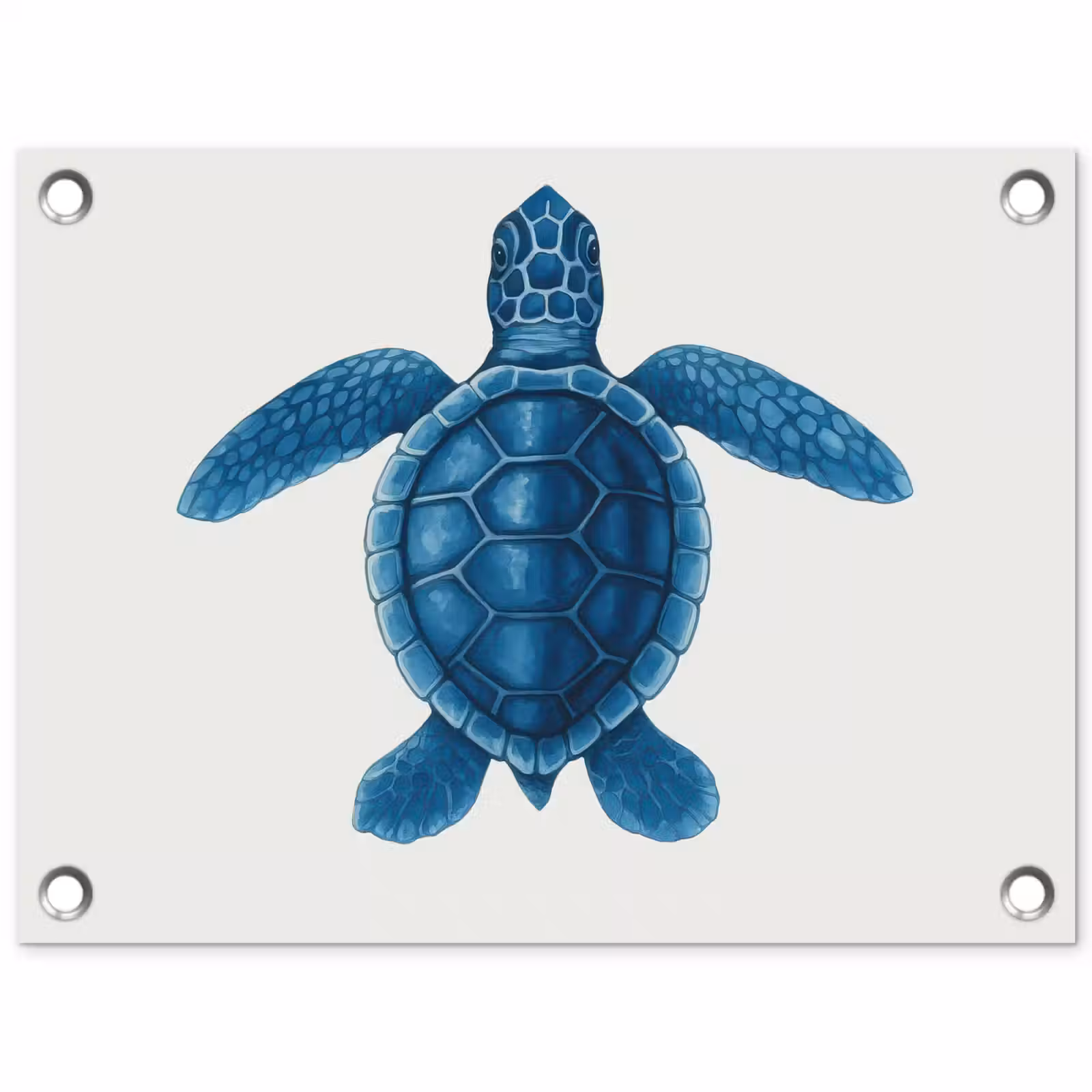 Tuinposter - Schildpad - Blauw - Schild — 1