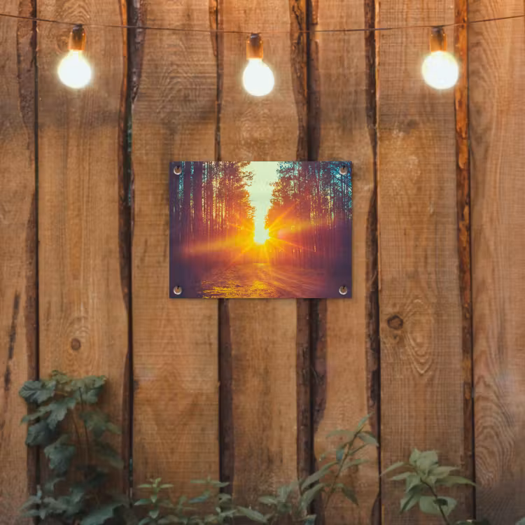Tuinposter - Zonsondergang - Bomen - Bos - Natuur — 2
