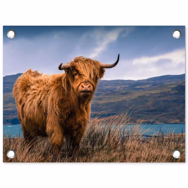 Tuinposter - Schotse Hooglander - Berg - Water - Natuur - Koe