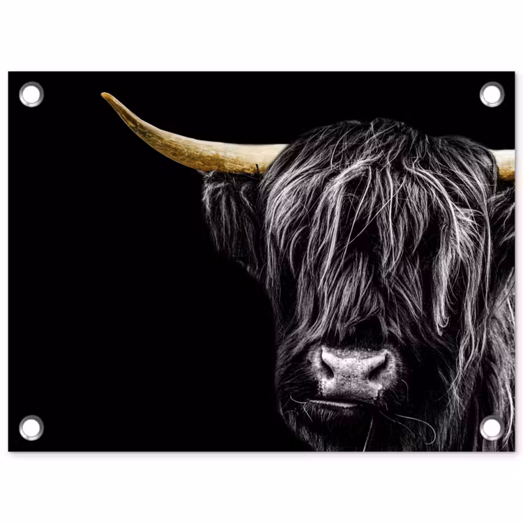 Tuinposter - Schotse hooglander - Goud - Vacht - Dieren - Koe