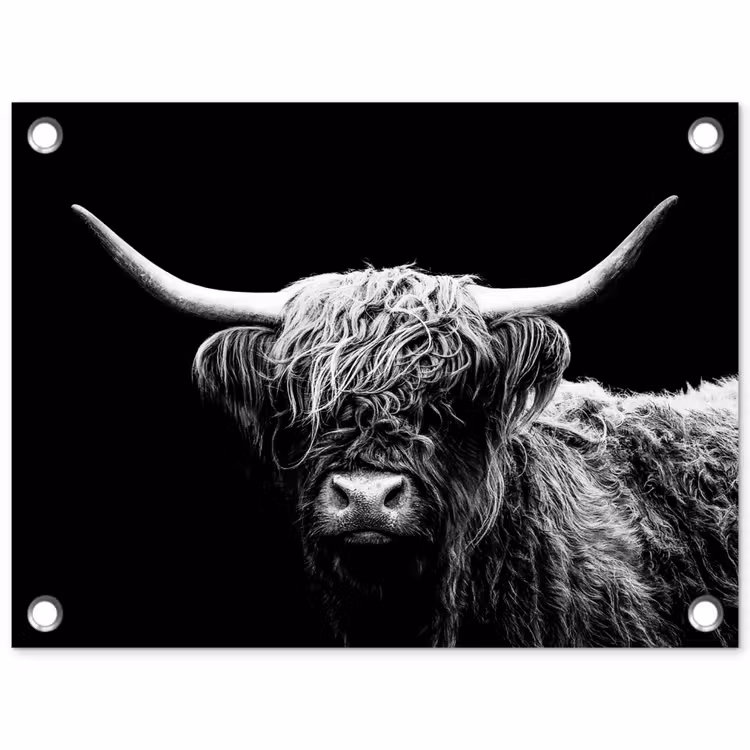 Tuinposter - Schotse Hooglander - Koe - Zwart - Wit - Dieren