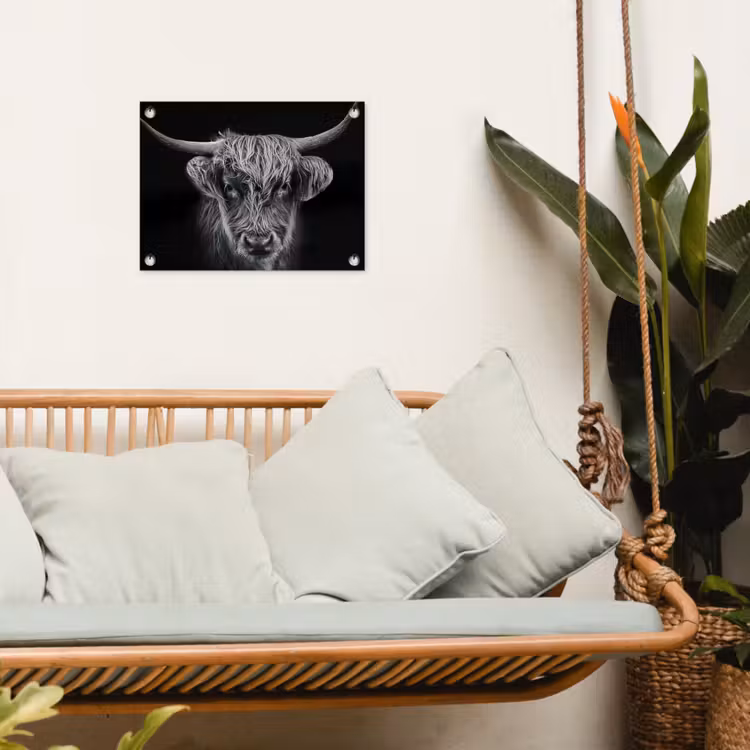 Tuinposter - Schotse hooglander - Zwart - Koe - Dieren — 5