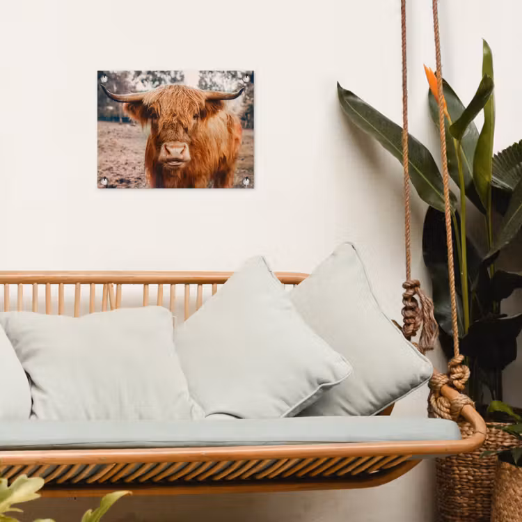 Tuinposter - Koe- Schotse hooglander - Hoorns - Bruin - Landschap — 5