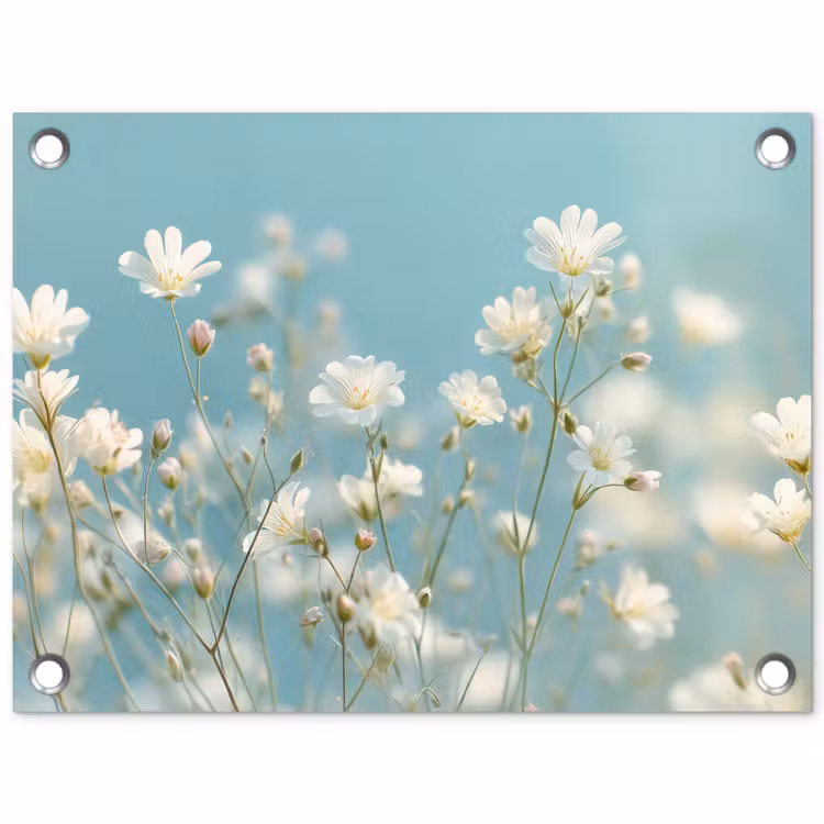 Tuinposter - Stengels - Bloemen - Lucht - Wit — 1