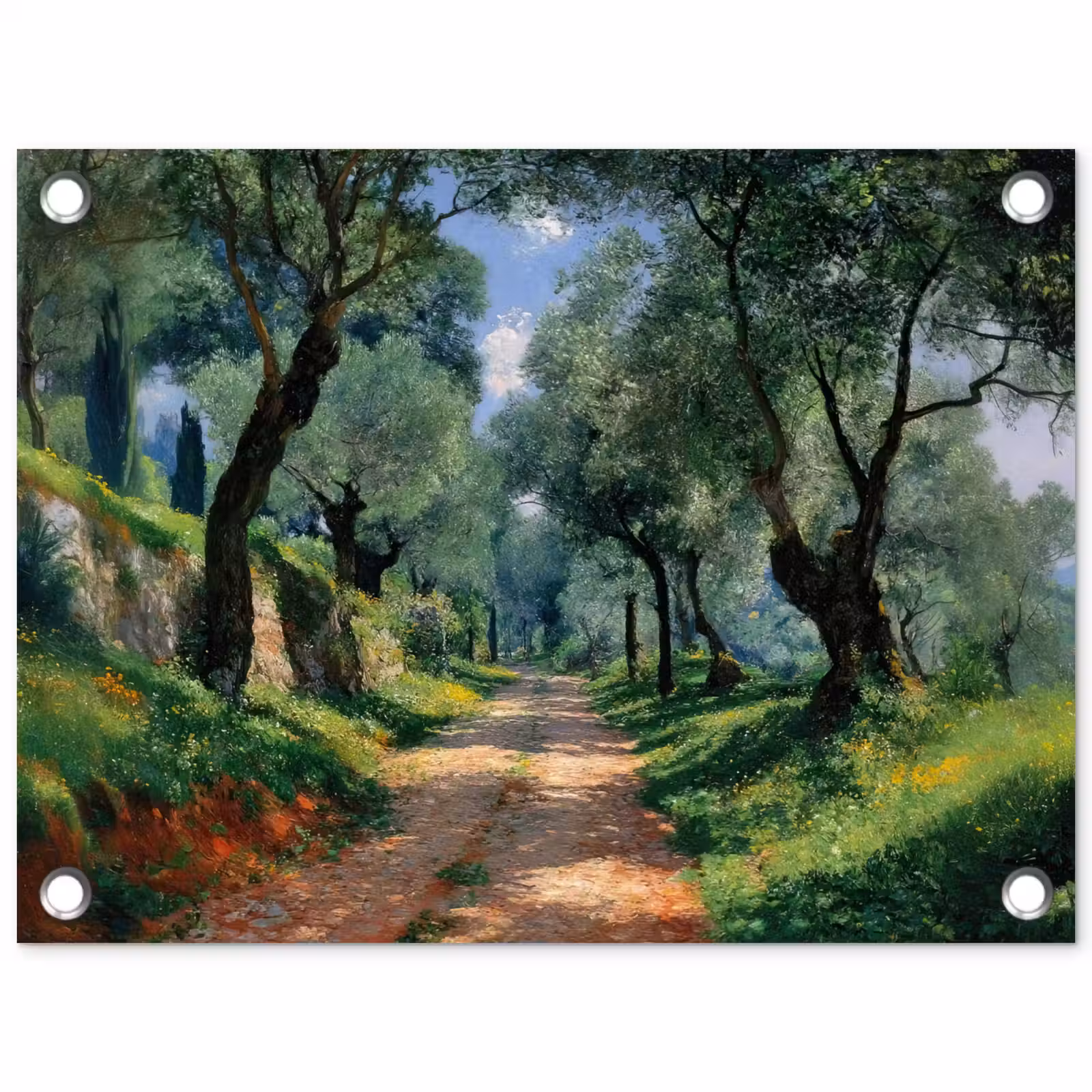 Tuinposter - Pad - Bomen - Schaduw - — 1