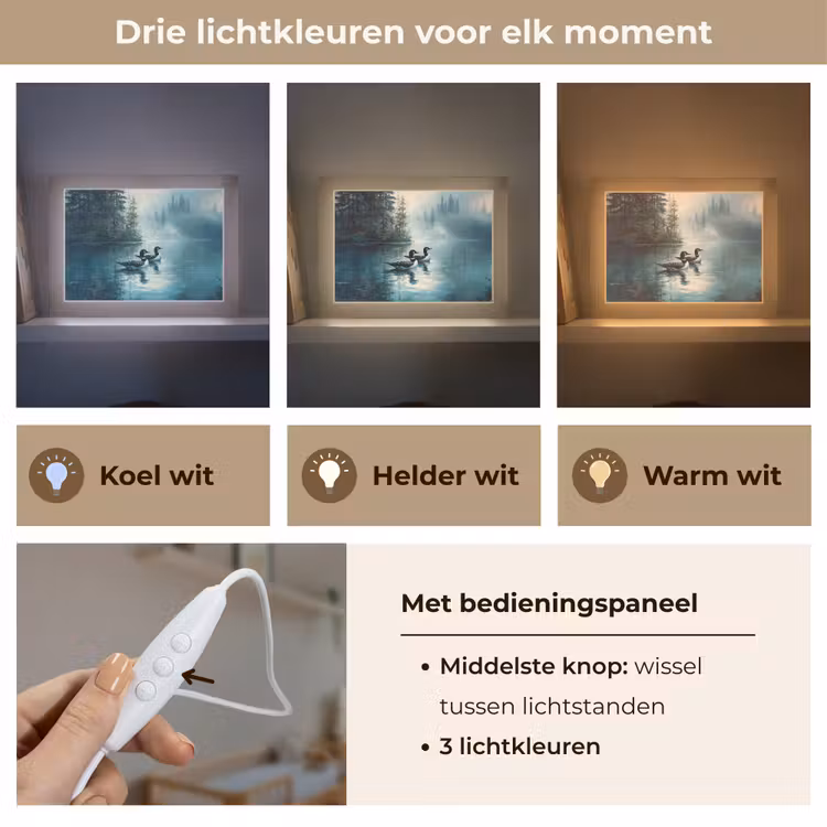 Lightbox - Wandlamp - Bos - Water - Eenden - Mistig — 7