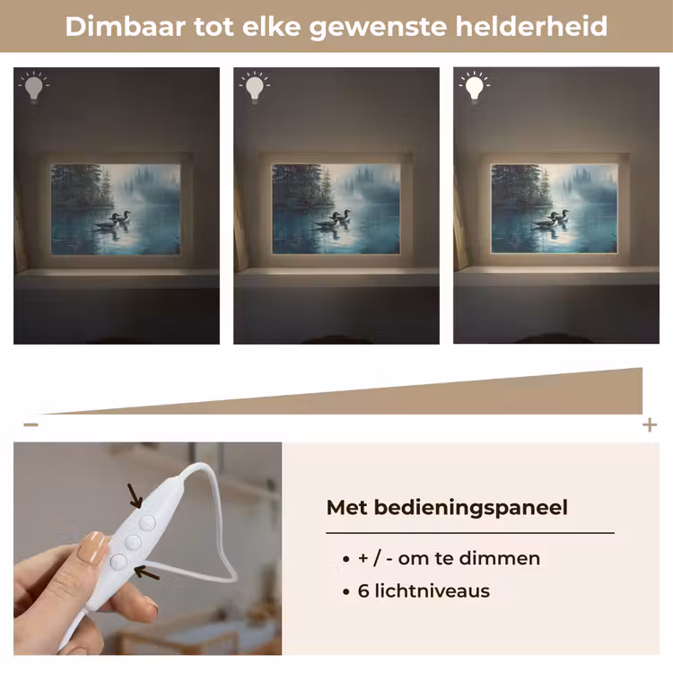 Lightbox - Wandlamp - Bos - Water - Eenden - Mistig — 8