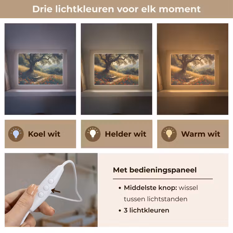Lightbox - Wandlamp - Bankje - Boom - Klaprozen - Heuvels — 7