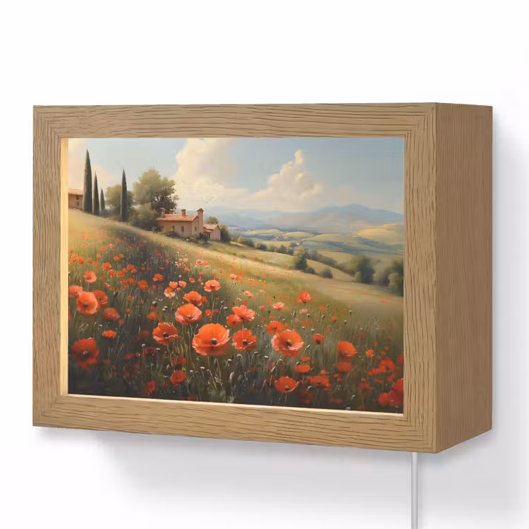 Lightbox - Wandlamp - Klaprozen - Rood - Heuvels - Landschap — 1