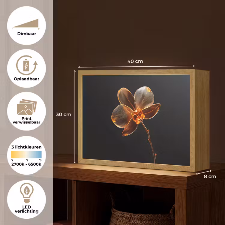 Lightbox - Wandlamp - Orchidee - Doorzichtig - Bloem — 10