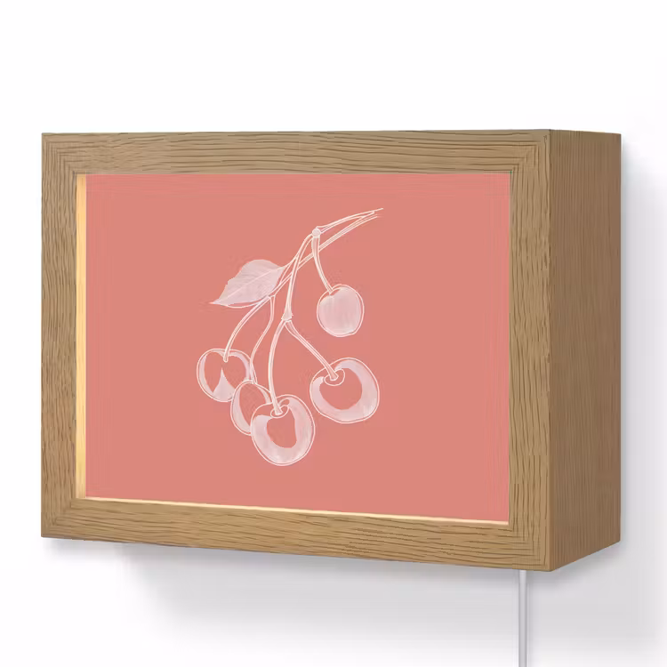 Lightbox - Wandlamp - Lijnillustratie - Kersen - Tak - Wit — 1