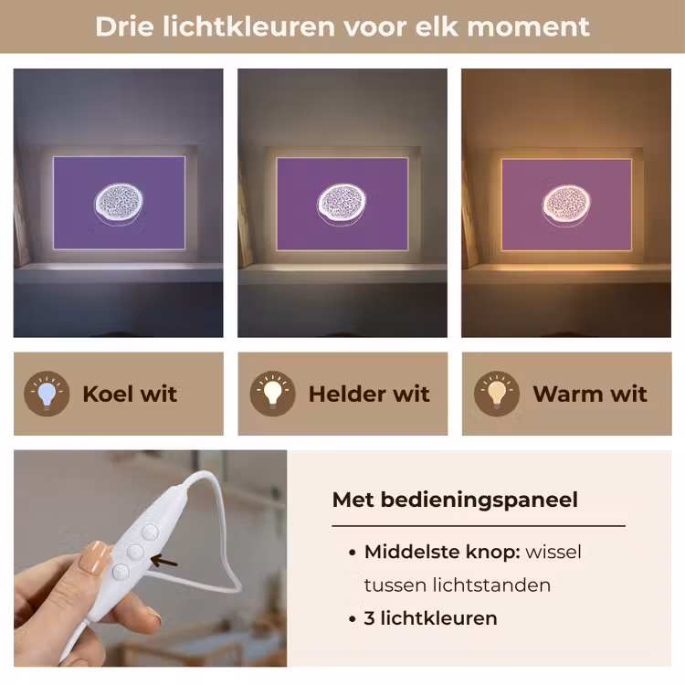 Lightbox - Wandlamp - Passievrucht - Zaadjes - Paars - Minimalistisch — 7