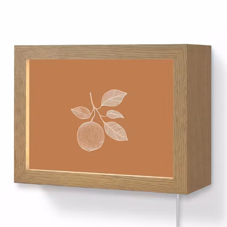 Lightbox - Wandlamp - Sinaasappel - Getekend - Bladeren - Bruin — 1
