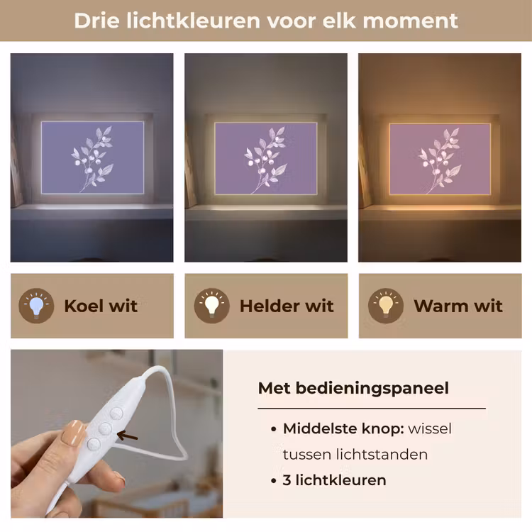 Lightbox - Wandlamp - Tak - Sierlijk - Bladeren - Minimalistisch — 7