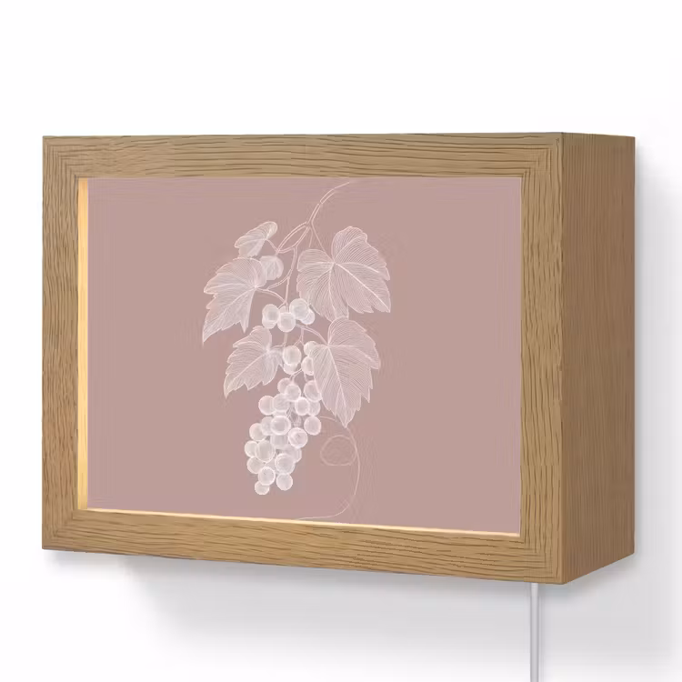 Lightbox - Wandlamp - Tros - Druiven - Illustratie - Bladeren — 1