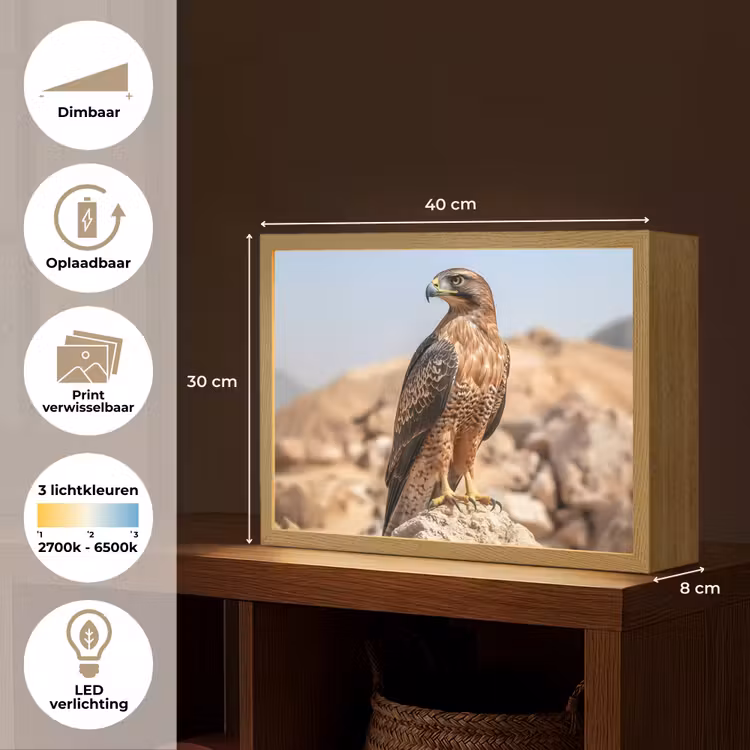 Lightbox - Wandlamp - Valk - Vogel - Rots - Macht — 10